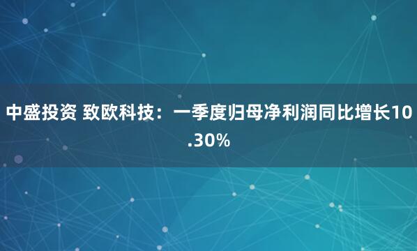 中盛投资 致欧科技：一季度归母净利润同比增长10.30%