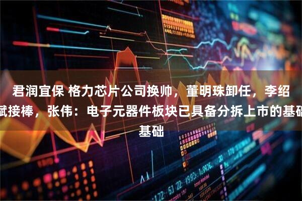 君润宜保 格力芯片公司换帅，董明珠卸任，李绍斌接棒，张伟：电子元器件板块已具备分拆上市的基础