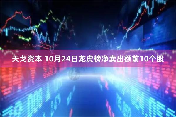天戈资本 10月24日龙虎榜净卖出额前10个股